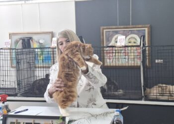 Втори ден на Международната изложба на котки в Благоевград