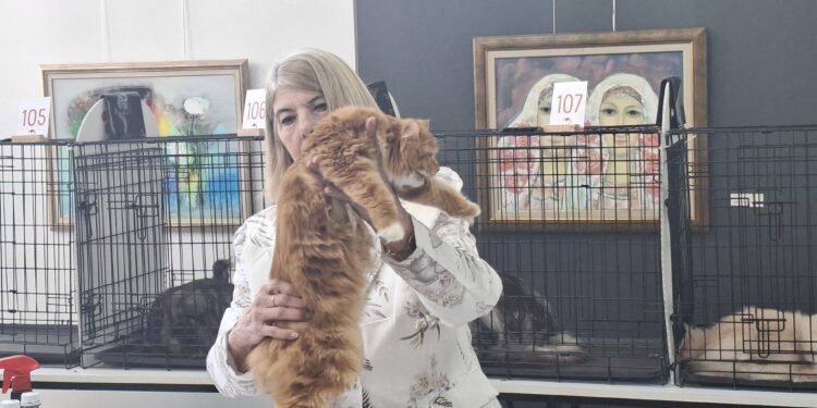 Втори ден на Международната изложба на котки в Благоевград